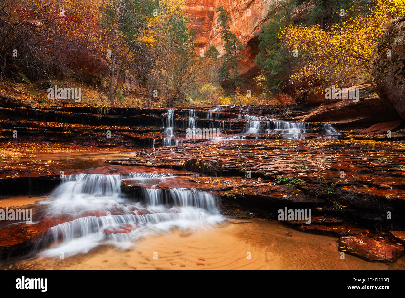 Fall foliage at Arch Angel Falls in Zion National Park Stock Photo Alamy