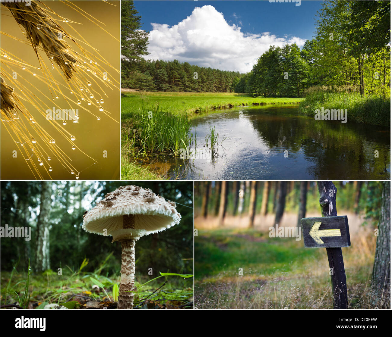 Postcard from wilderness in the summer Stock Photo Alamy