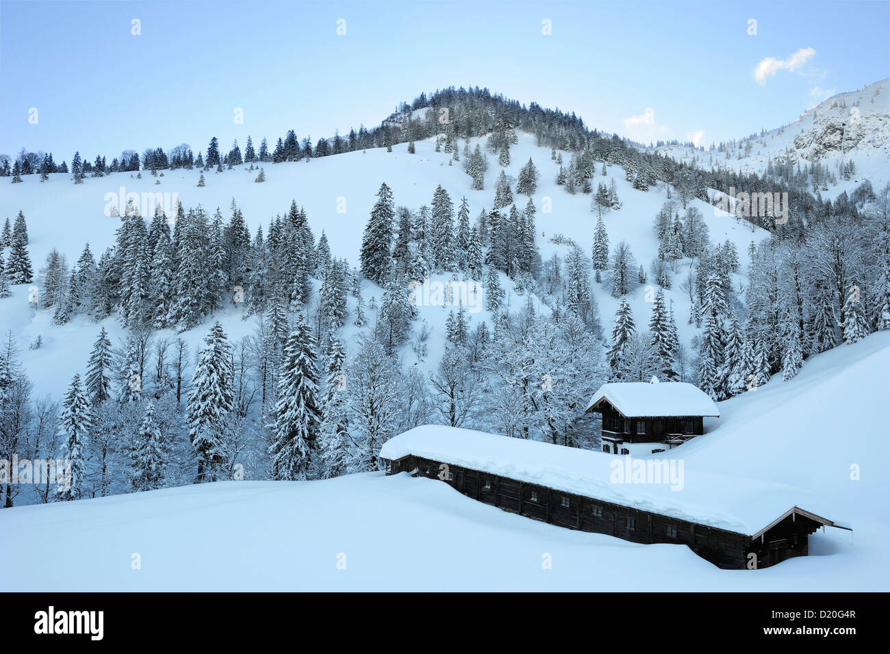 Snow covered alpine hut Koenigsalm with winter forest, Tegernseer range, Bavarian Prealps, Upper Bavaria, Bavaria, Germany Stock Photo