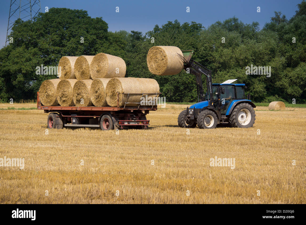 Farmer with a tractor loading a trailer with straw bales, Hanau, Hesse, Germany, Europe Stock Photo