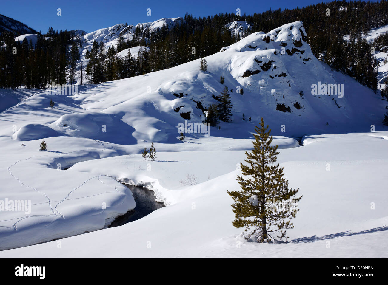 Big Wood river, winter, Sawtooth national Forest and Recreation area,, Idaho, USA Stock Photo