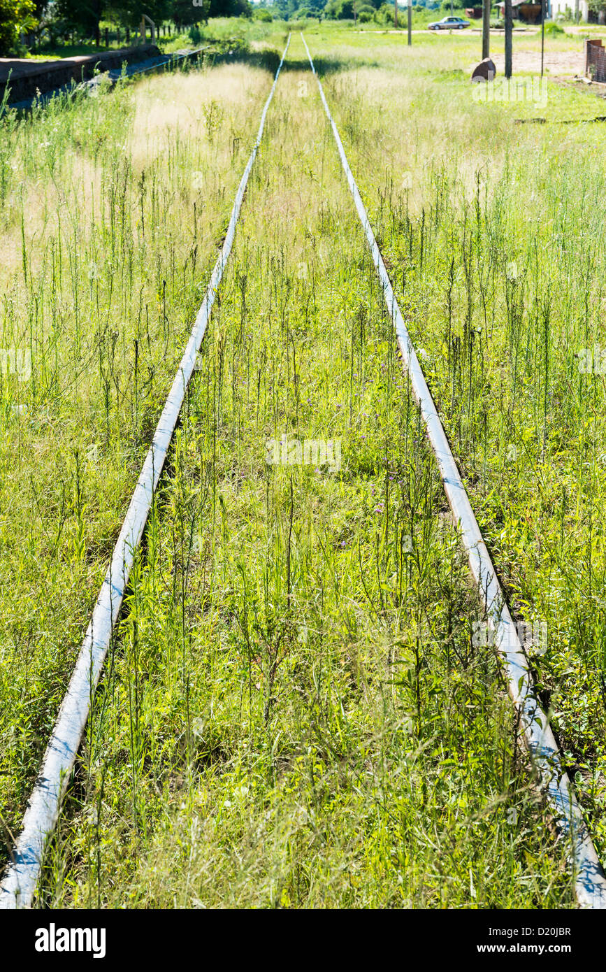 rail-tracks-in-overgrown-field-stock-photo-alamy