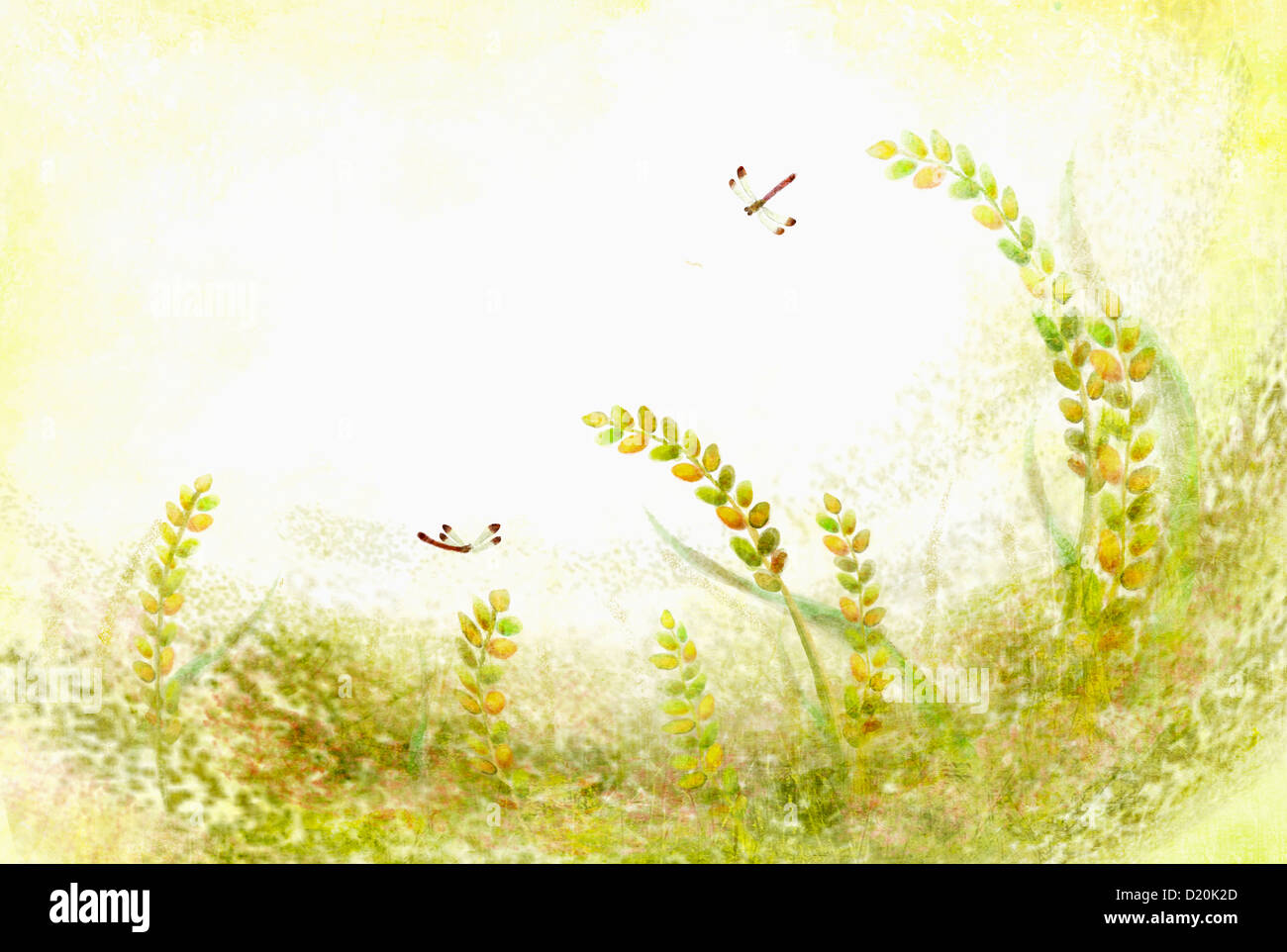 dragonfly and grass background Stock Photo - Alamy