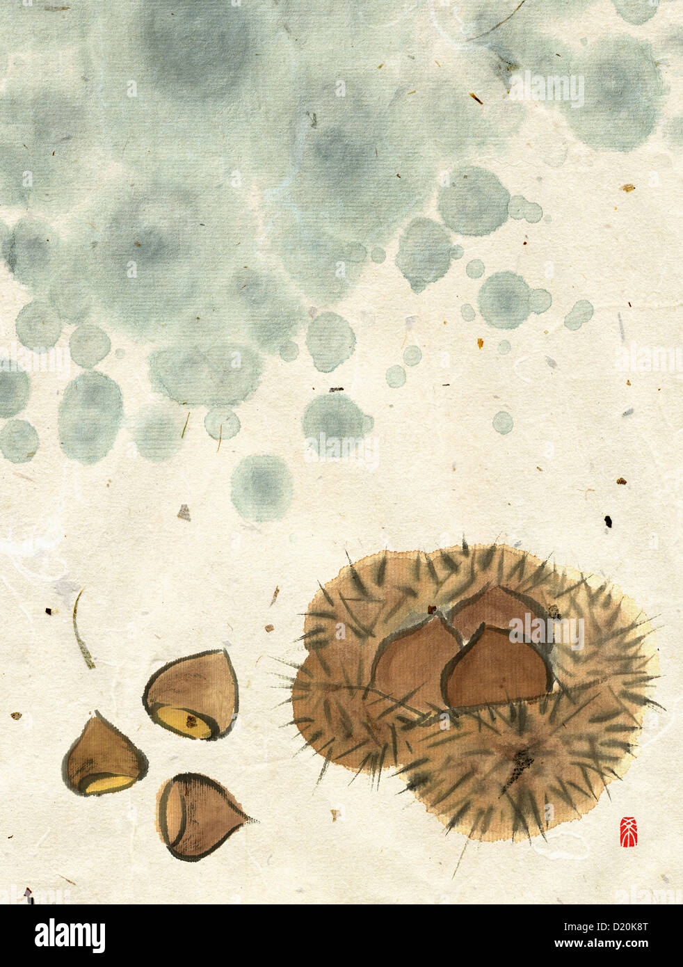 chestnuts popping out of burr Stock Photo - Alamy