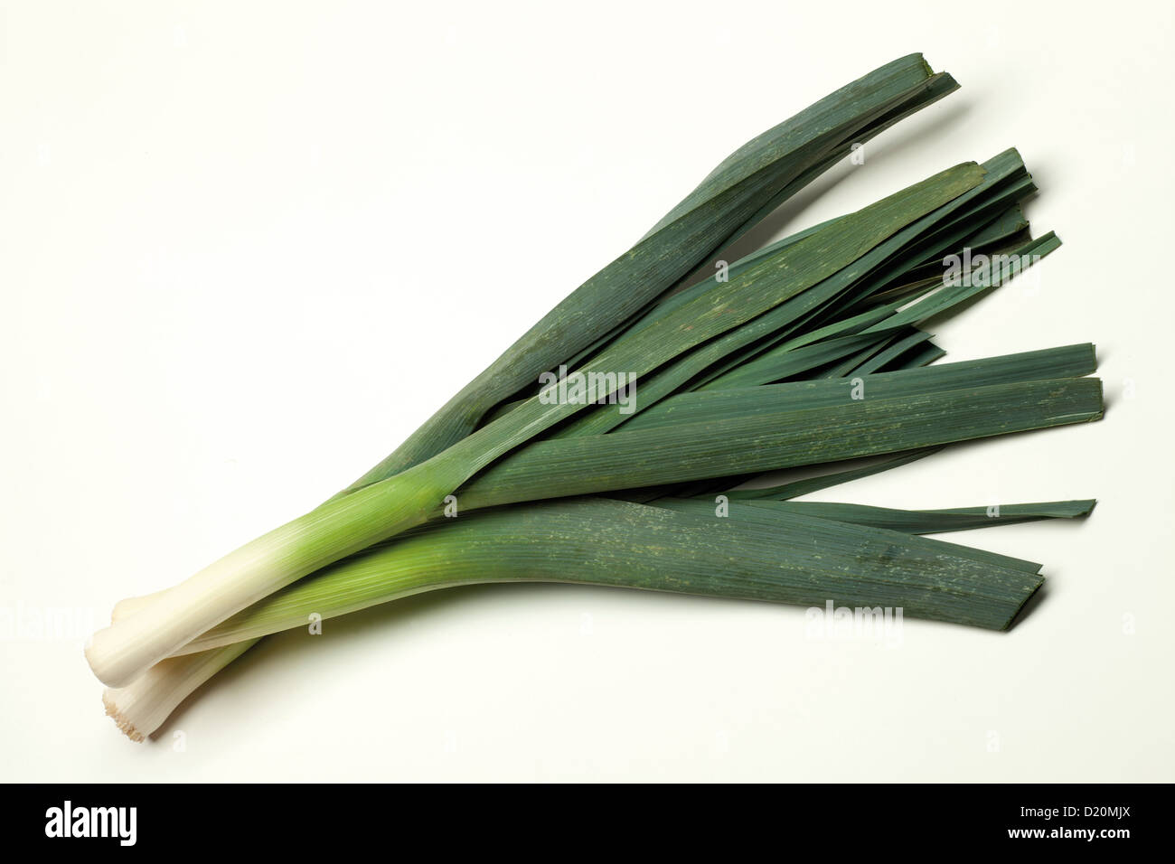 leek on white background or green vegetable Stock Photo