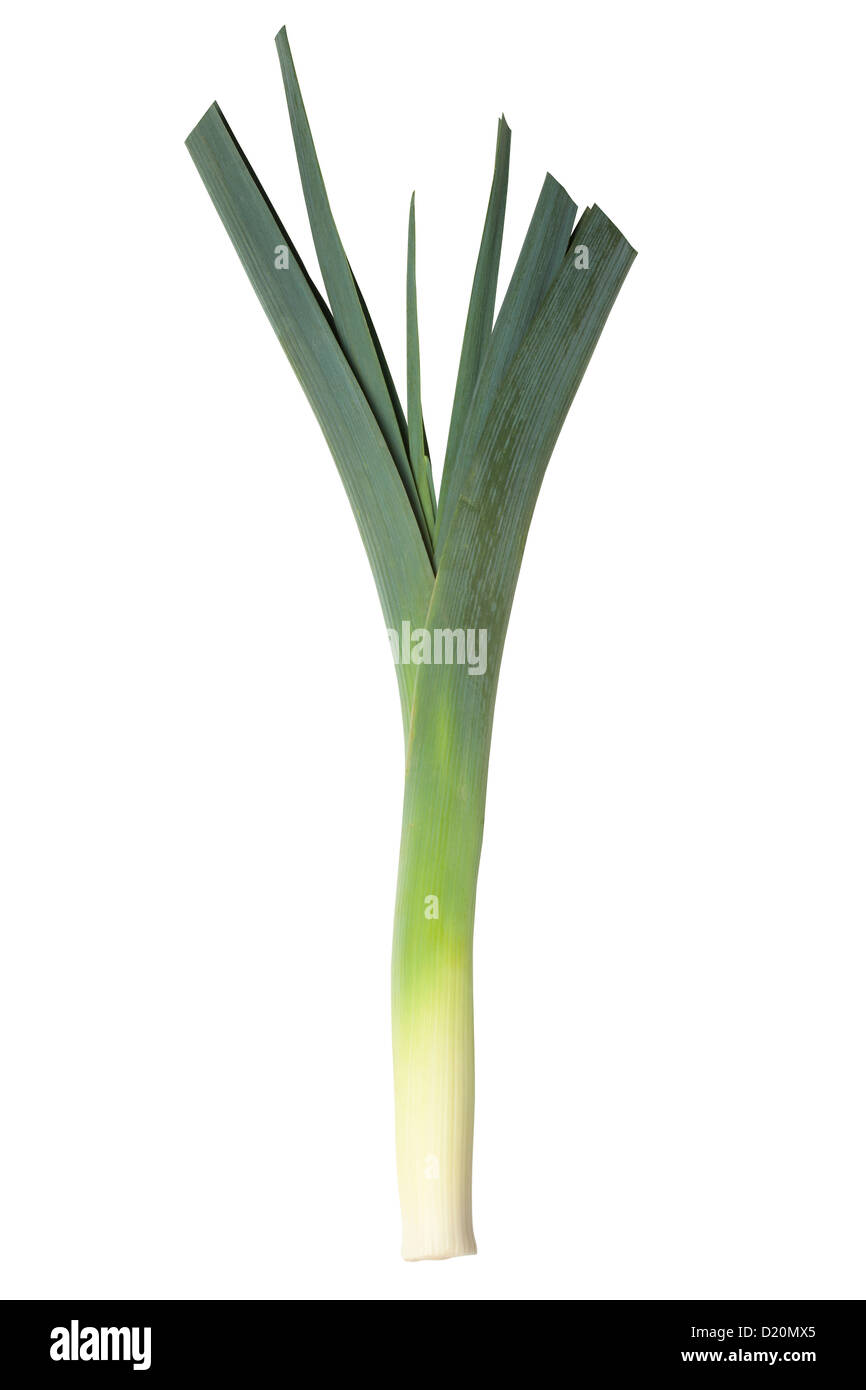 leek isolated on white background or raw green vegetable Stock Photo