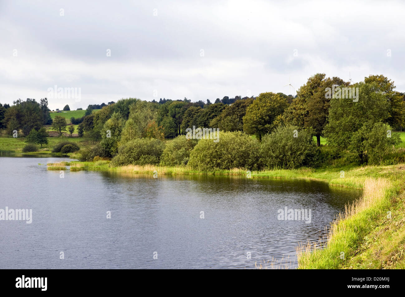 Stadtweger lake, UNESCO World heritage site, Upper Harz Water Regale
