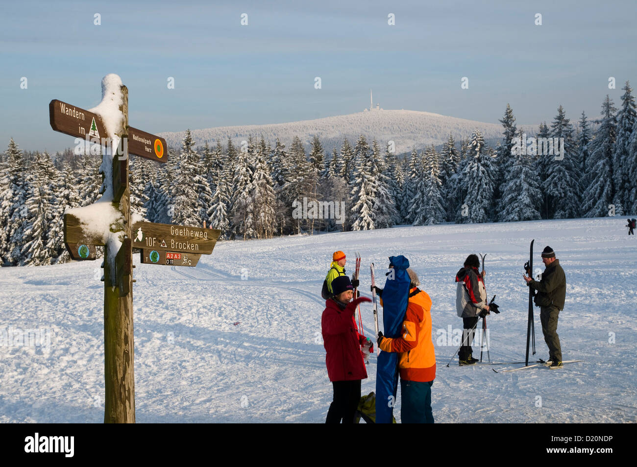 Cross country skiers, snowy forest, Brocken mountain in the background ...
