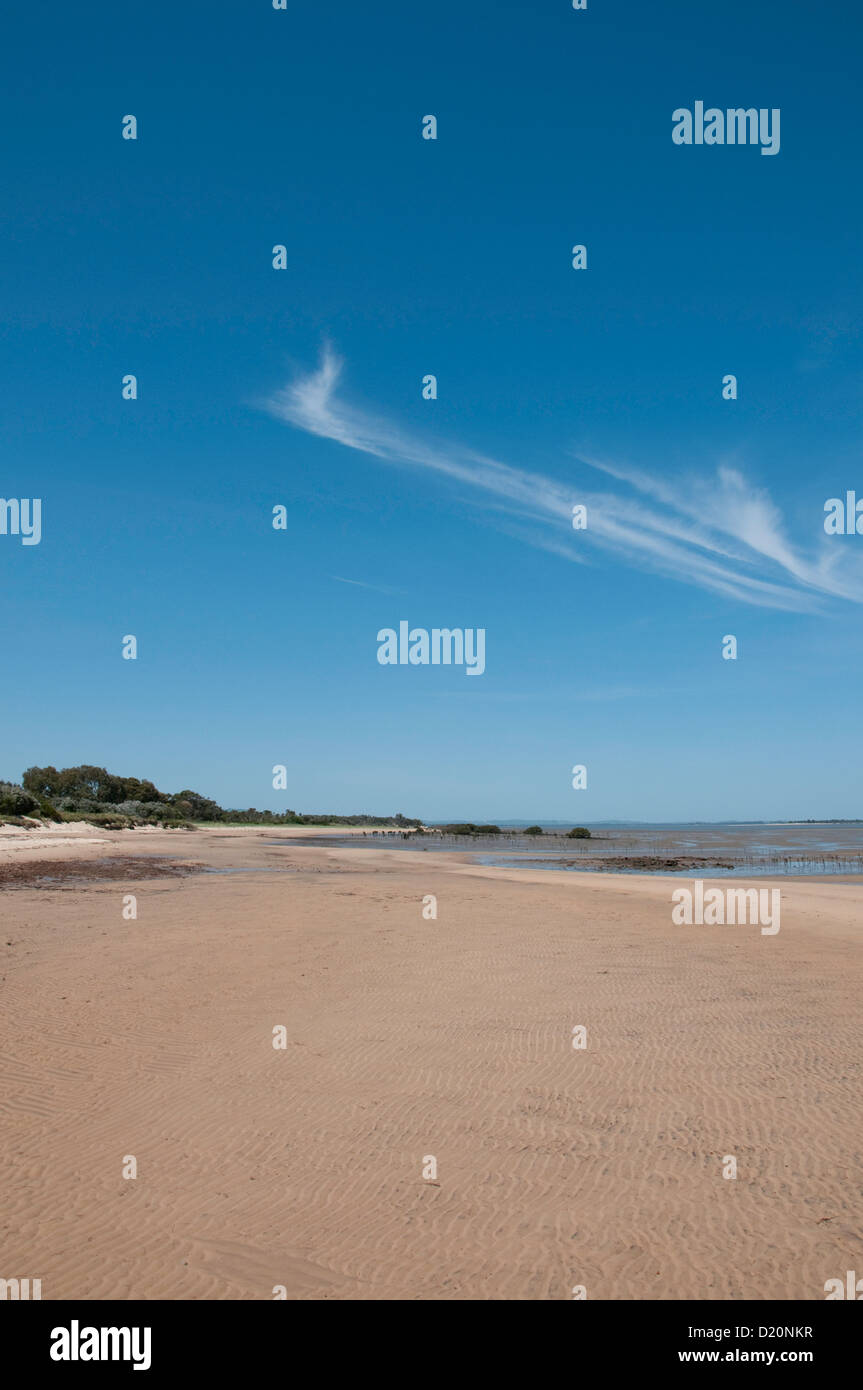 Australia sandy beach hi-res stock photography and images - Alamy