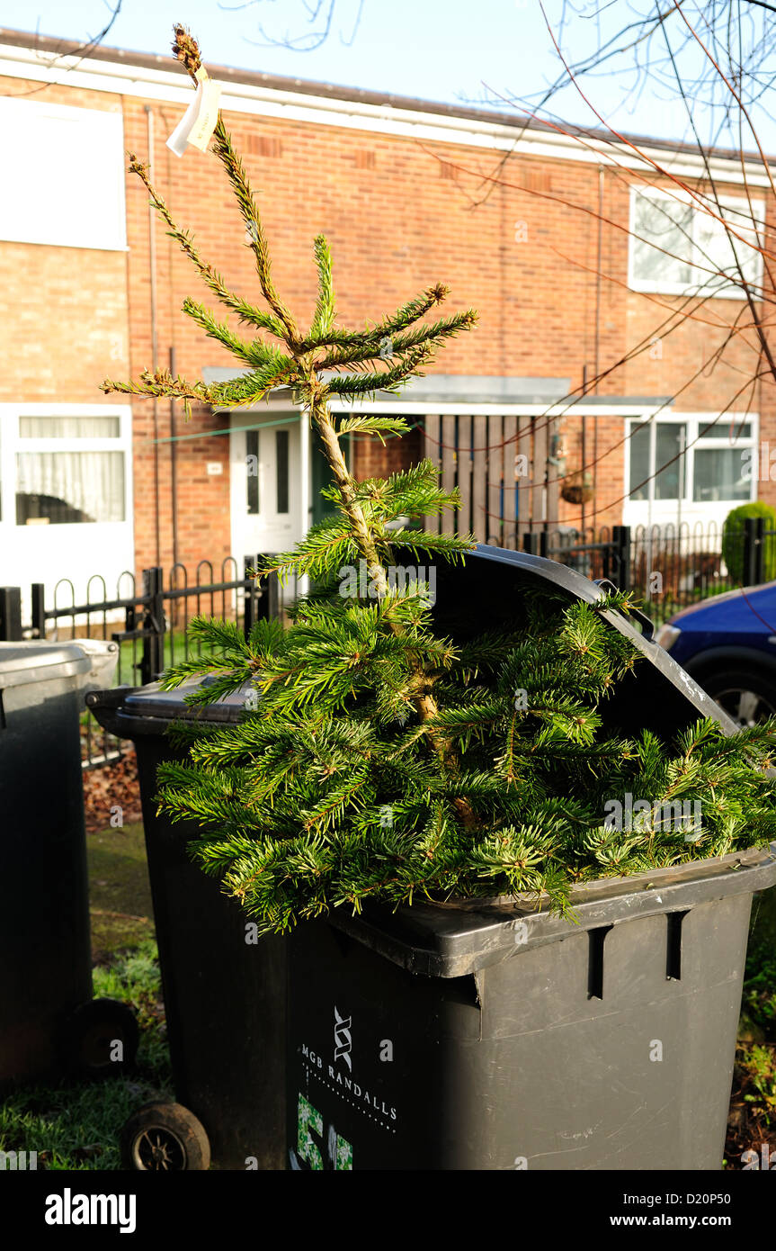 Christmas Tree In Bin High Resolution Stock Photography and Images Alamy