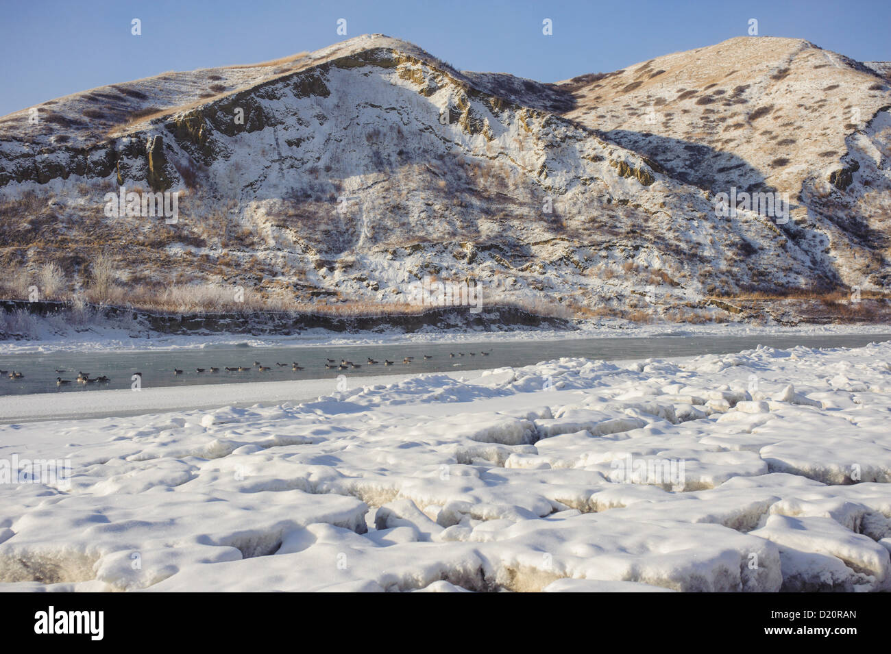 Old Man River in Winter with coulees in the background, lethbridge Alberta Stock Photo