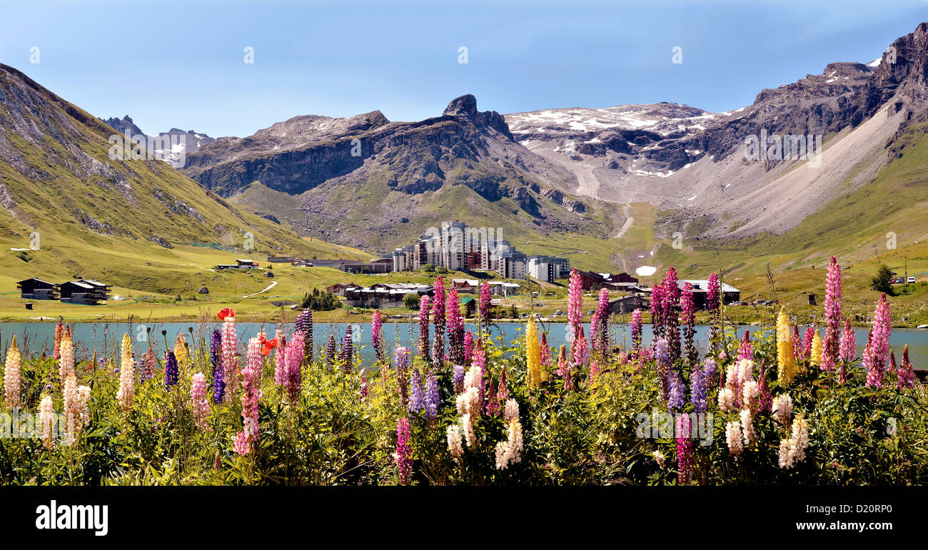 Panoramic photo of Tignes le Lac with lupine flowers in the foreground. Tignes is a commune in the Tarentaise Valley, in France Stock Photo