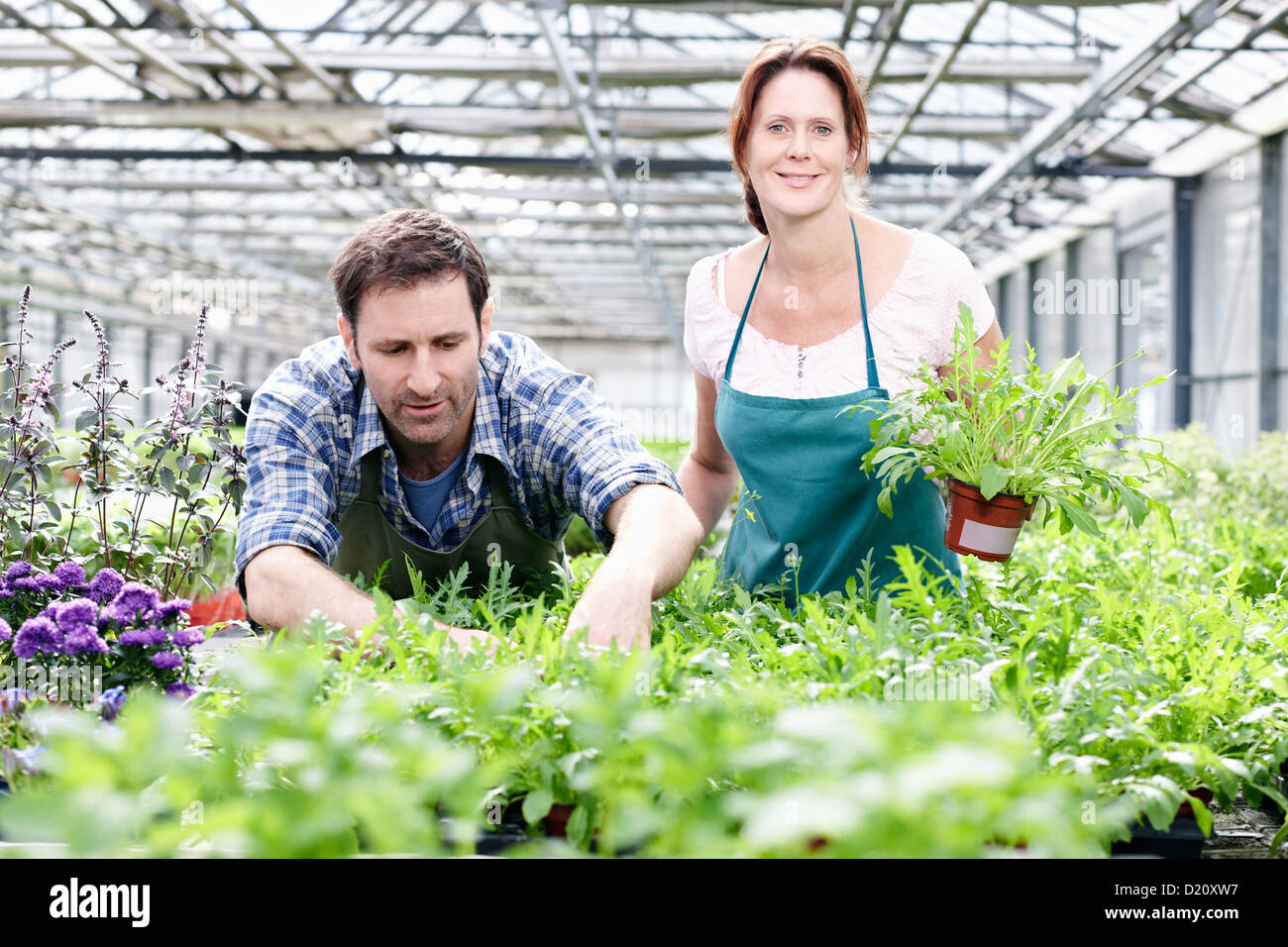 Germany, Bavaria, Munich, Mature man and woman standing with rocket plant in greenhouse Stock Photo