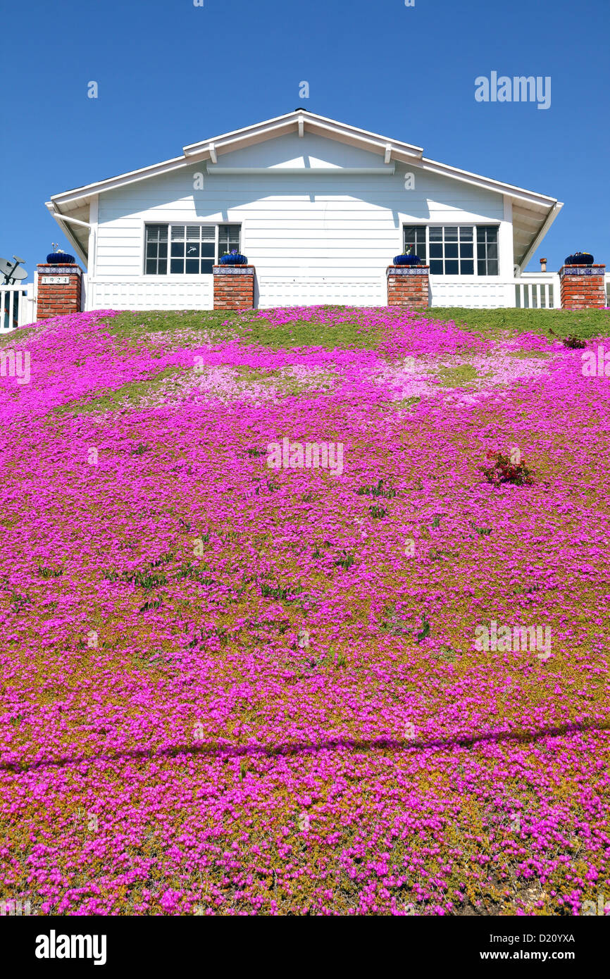 Malibu home, flowers sea, Malibu, CA, USA, Haus in Malibu, Blumenmeer