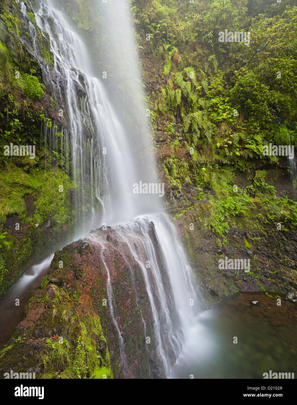 Levada and waterfall near Caldeirao Verde, Queimadas Forest Park, Madeira, Portugal Stock Photo