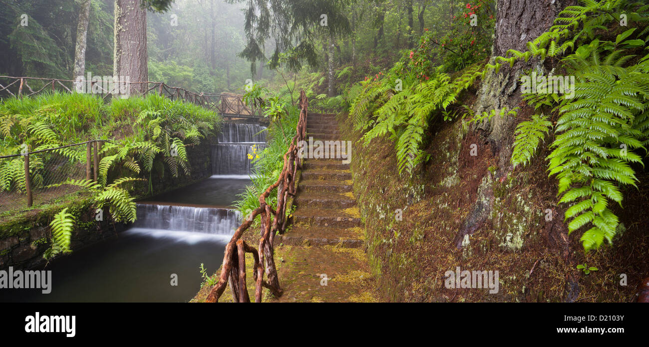 Stream with steps made of stones, Caldeirao Verde, Queimadas Forest Park, Madeira, Portugal Stock Photo