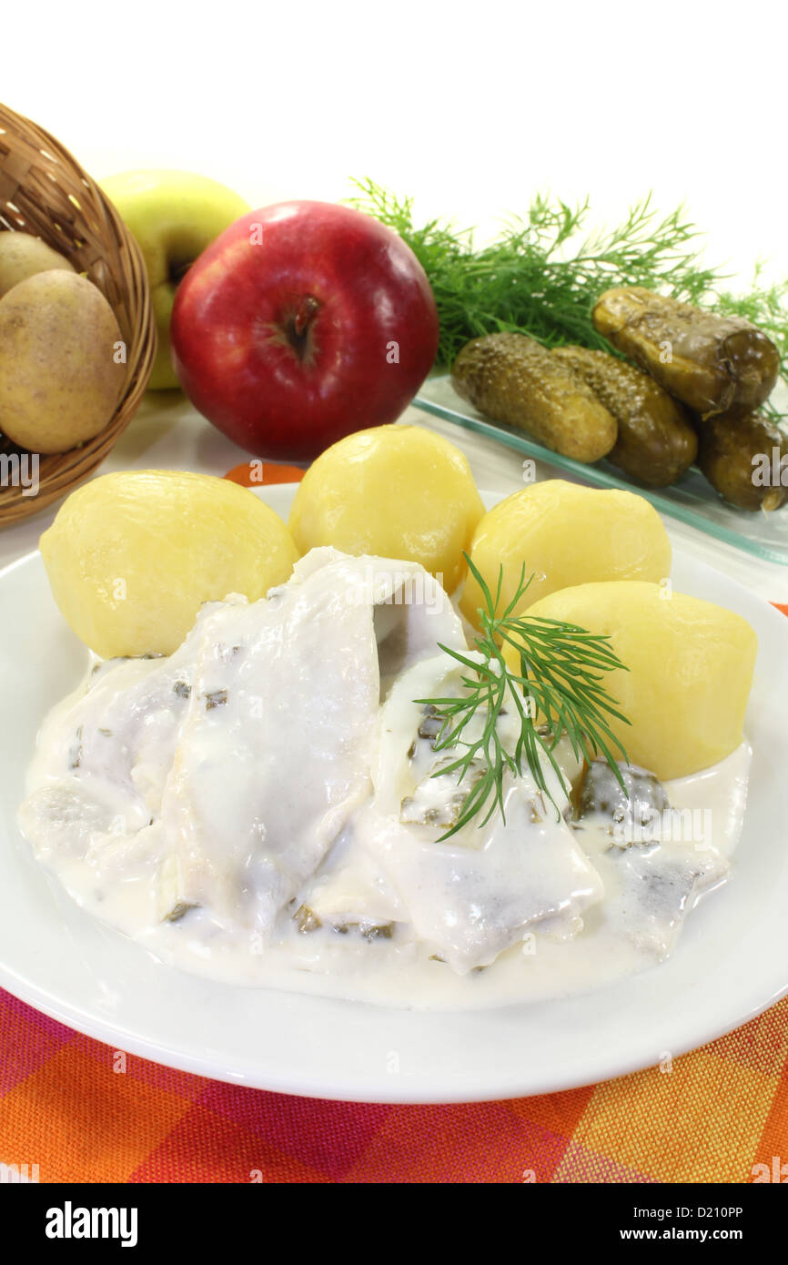 Fragrant potato with sour cream in the oven: satisfying and tasty 65 Fragrant potato with sour cream in the oven: satisfying and tasty 16