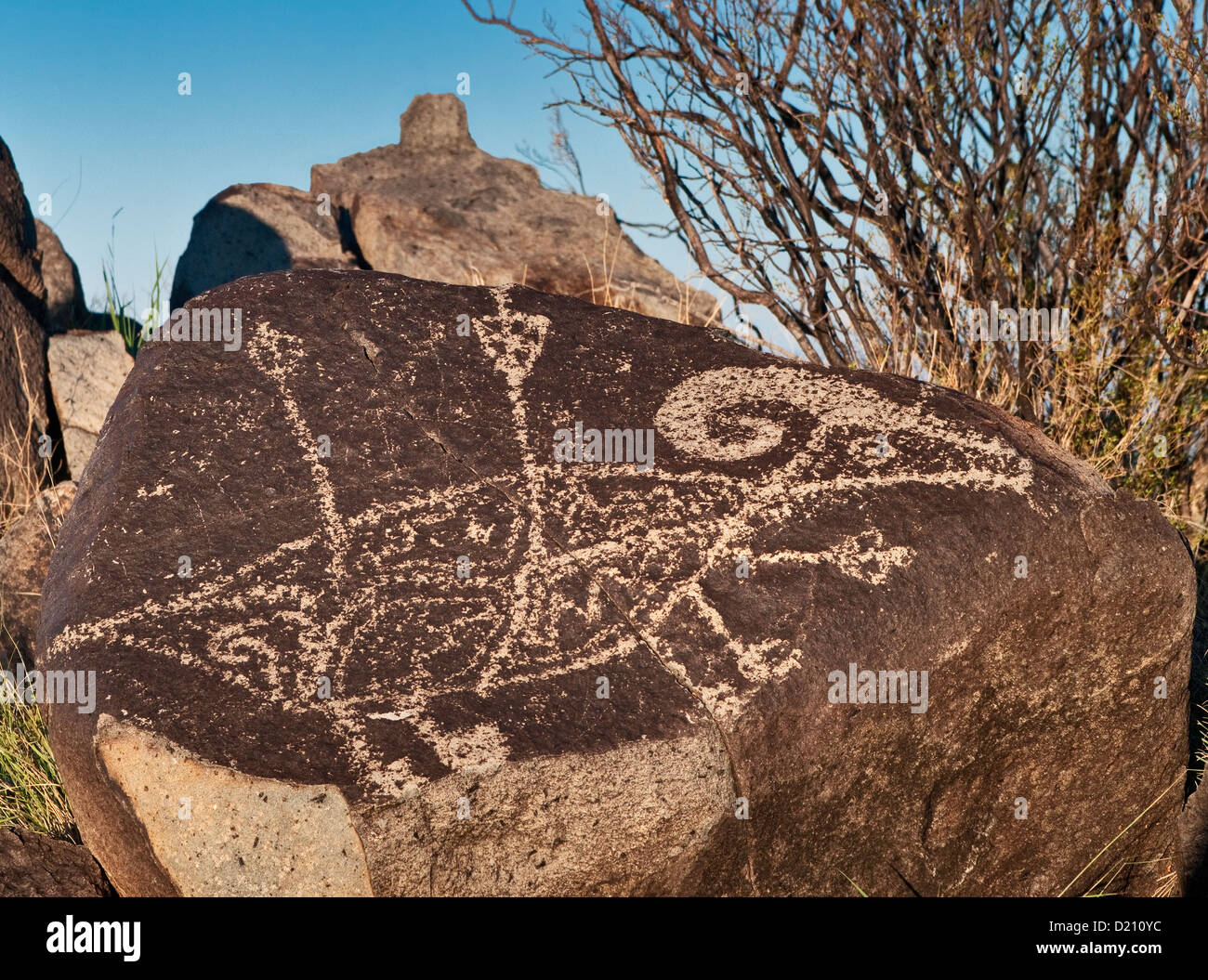 Bighorn sheep hit with arrows, Jornada Mogollon style rock art at Three Rivers Petroglyph Site, New Mexico, USA Stock Photo