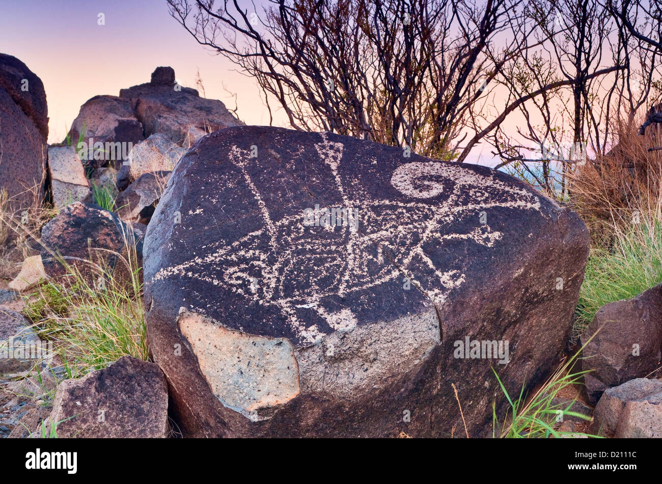 Bighorn sheep hit with arrows, Jornada Mogollon style rock art at Three Rivers Petroglyph Site, New Mexico, USA Stock Photo