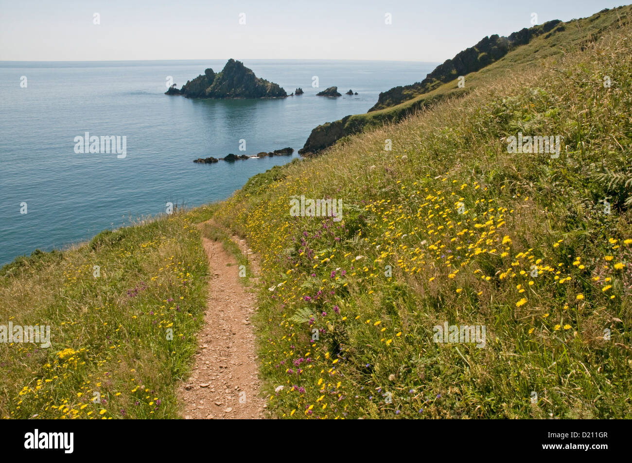 Outer froward point point devon hi-res stock photography and images - Alamy