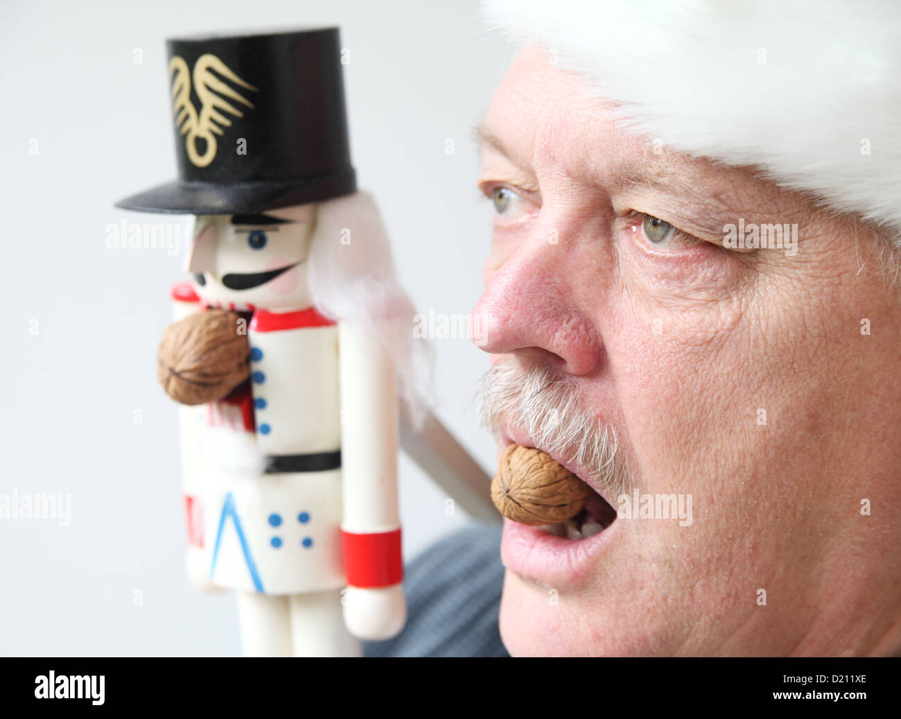 senior man holds walnut in mouth in the manner of a nutcracker Stock Photo