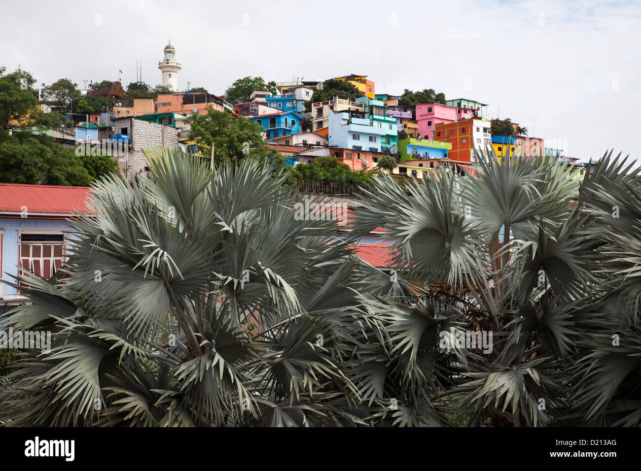 Colorful houses in Las Penas district, Guayaquil, Ecuador, South America Stock Photo