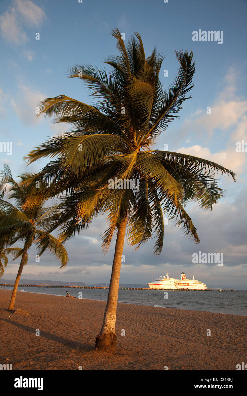 Coconut tree at beach with cruise ship MS Deutschland, Reederei Peter Deilmann at pier, Puntarenas, Costa Rica, Central America Stock Photo