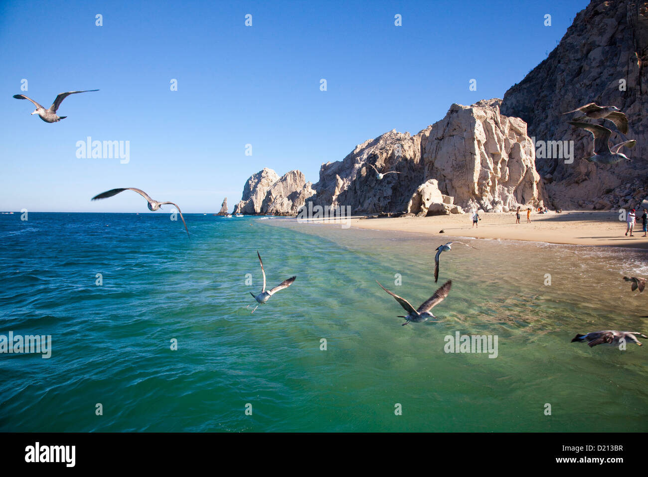 Seagulls and rocks near Lands End, Cabo San Lucas, Baja California Sur, Mexico, Central America Stock Photo