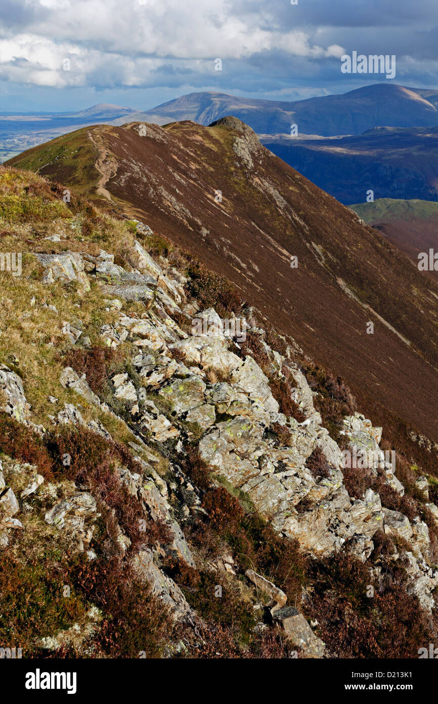 Looking back over Causey Pike from Scar Crags, Skiddaw is visible in the background. Stock Photo