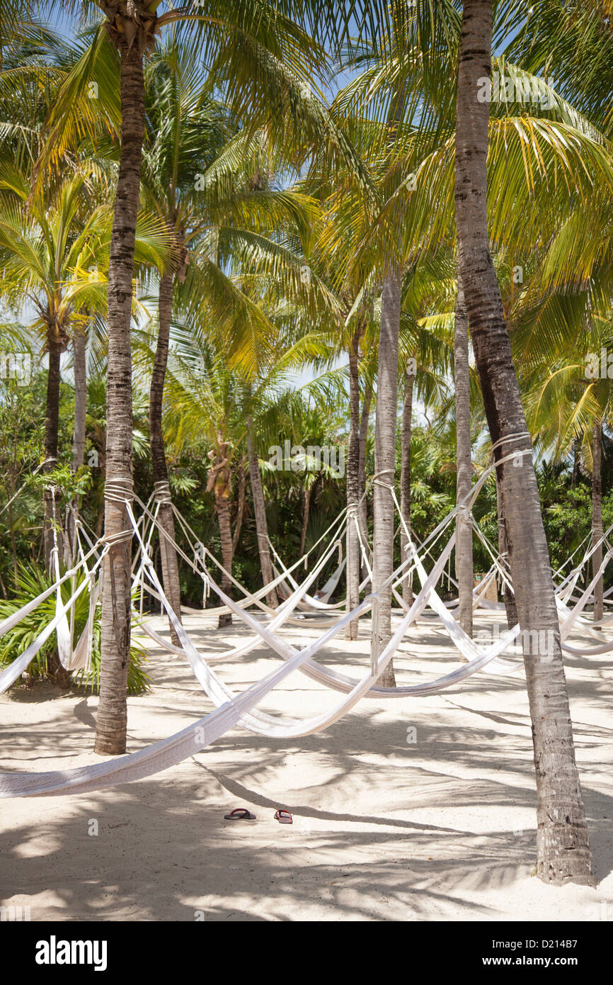 Hammocks hanging from coconut trees at XelHa Water Park, Tulum