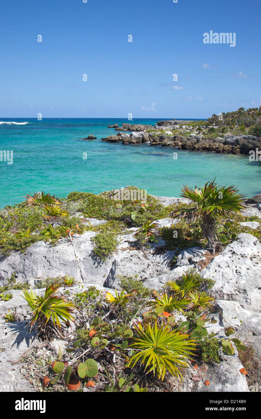 Coastline at Xel-Ha Water Park, Tulum, Riviera Maya, Quintana Roo, Mexico Stock Photo