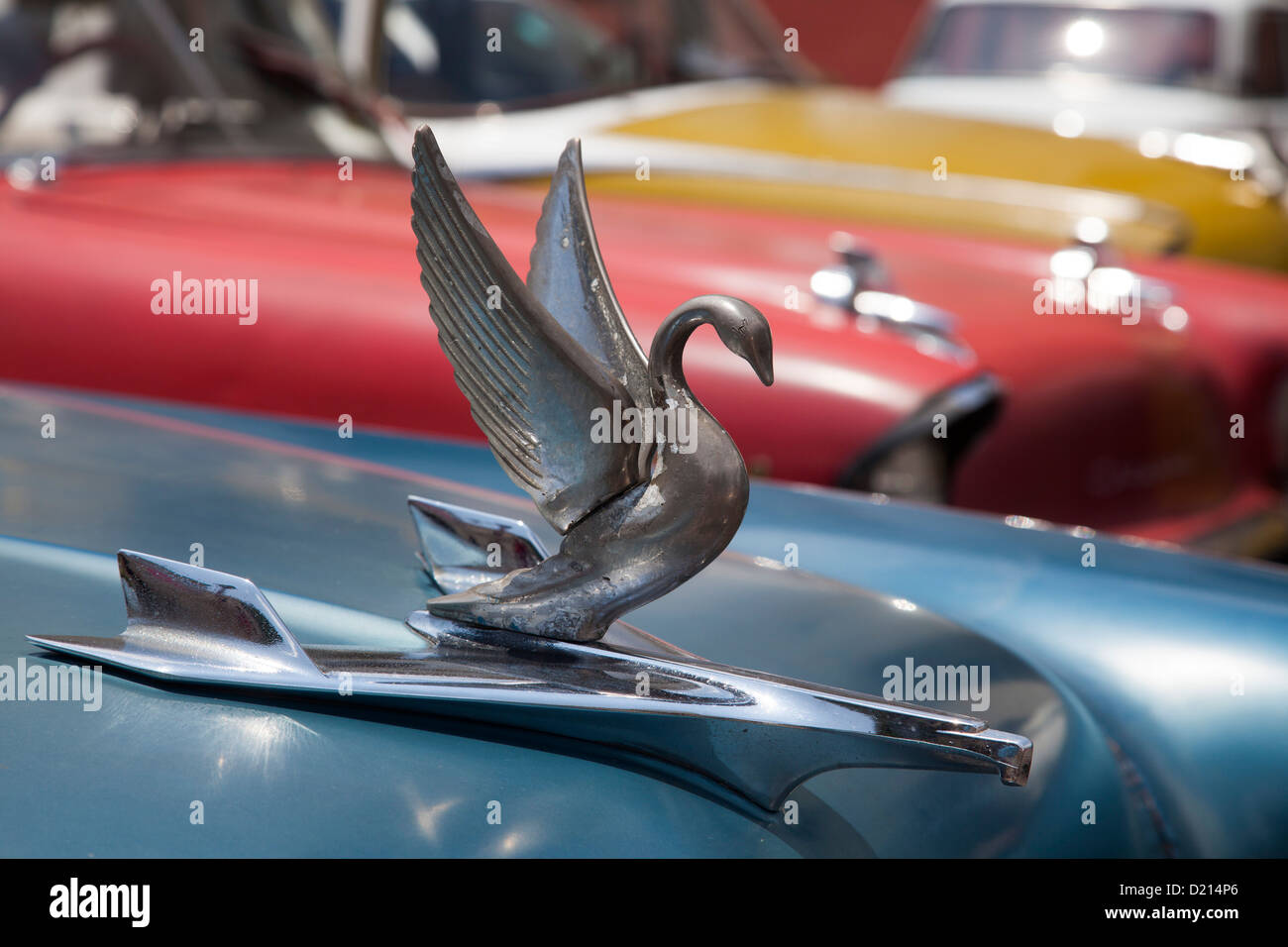 Hood ornament of a vintage American car, Oldtimer, Santiago de Cuba, Santiago de Cuba, Cuba, Caribbean Stock Photo
