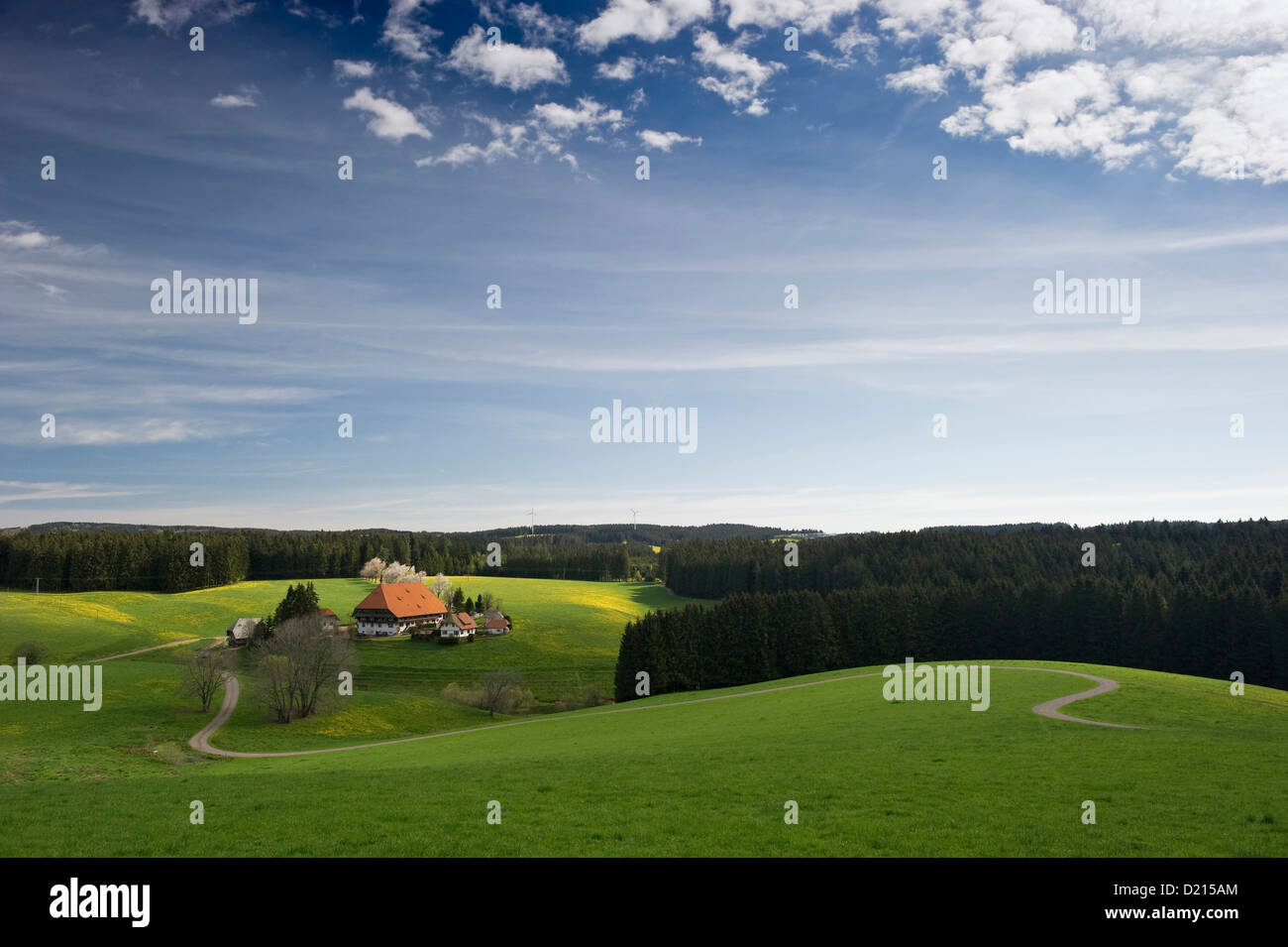 Oberfallengrundhof, traditional farmhouse, Black Forest, Baden