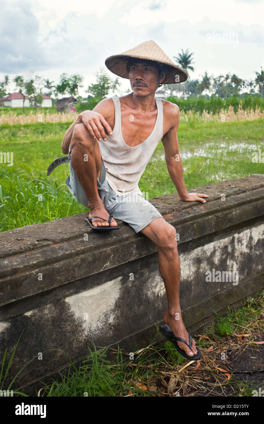 Rice field hat High Resolution Stock 
