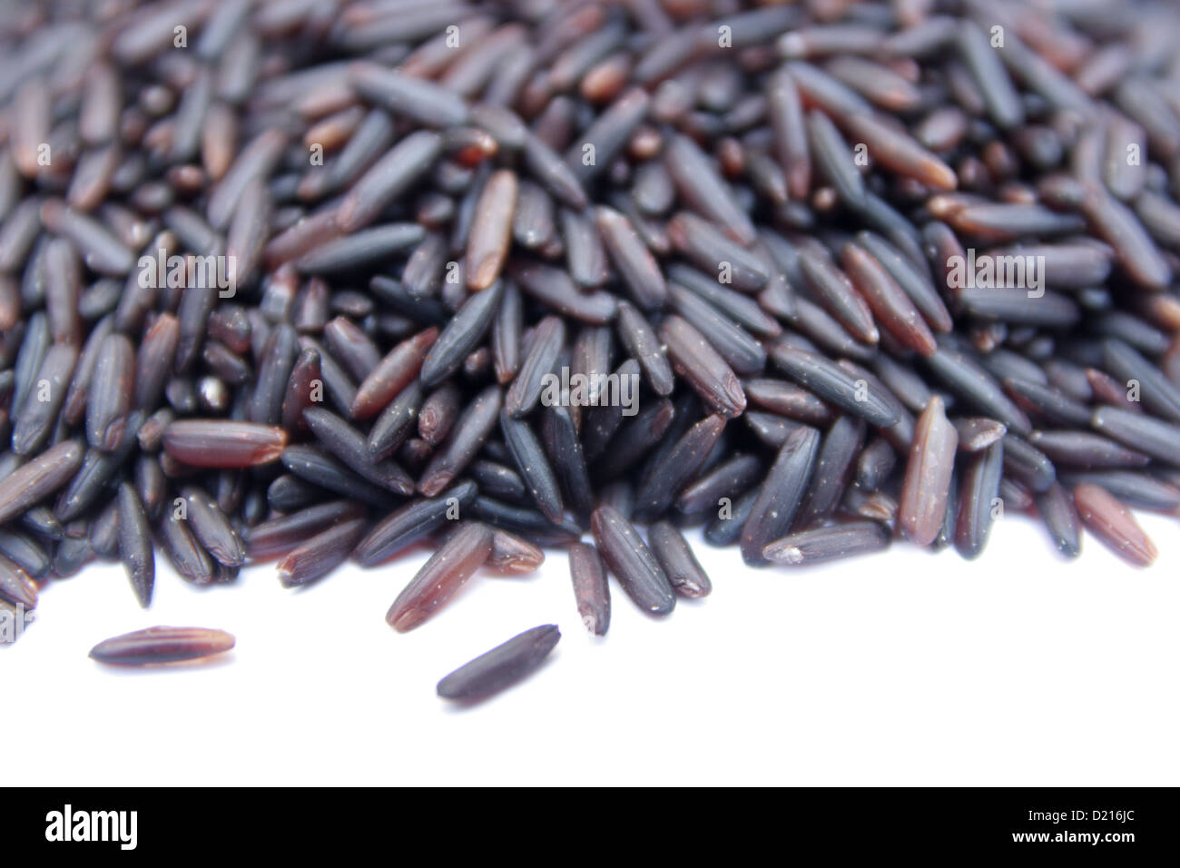 Hom re hi-res stock photography and images - Alamy