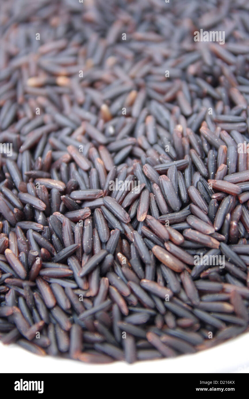 Hom Nin rice ( black rice Stock Photo - Alamy