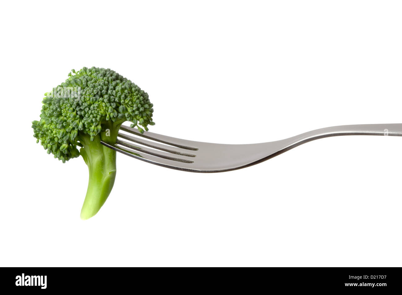 broccoli floret on a fork isolated against white background Stock Photo