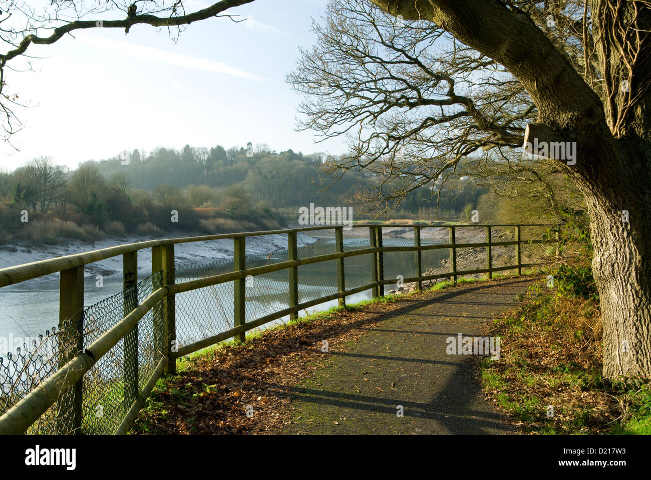 route 88 cycle path
