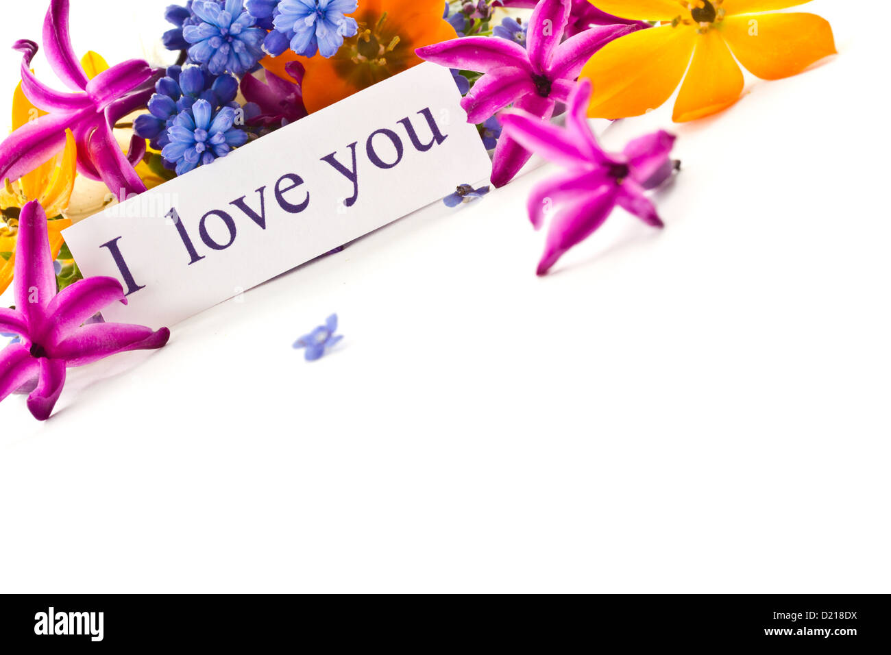 bouquet of spring flowers on a white background Stock Photo - Alamy