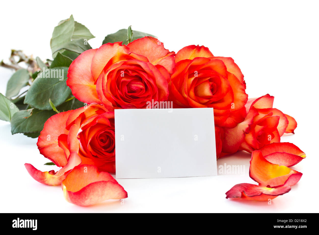 beautiful bouquet of red roses on a white background Stock Photo - Alamy