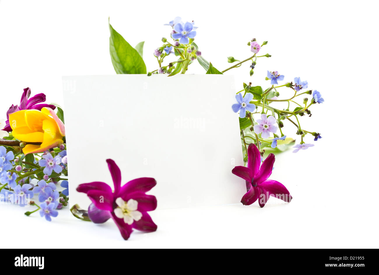 bouquet of spring flowers on a white background Stock Photo