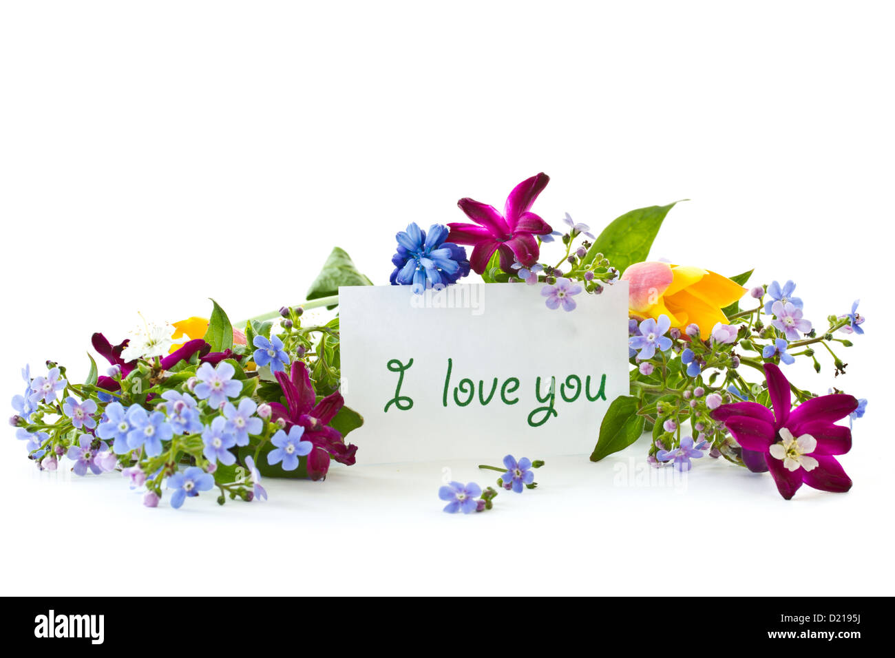 bouquet of spring flowers on a white background Stock Photo