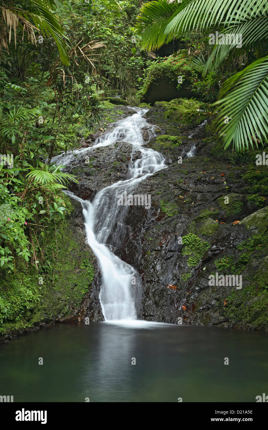 Waterfall and pool, Dona Juana Creek, Toro Negro State Forest (tropical rain forest), Puerto Rico Stock Photo