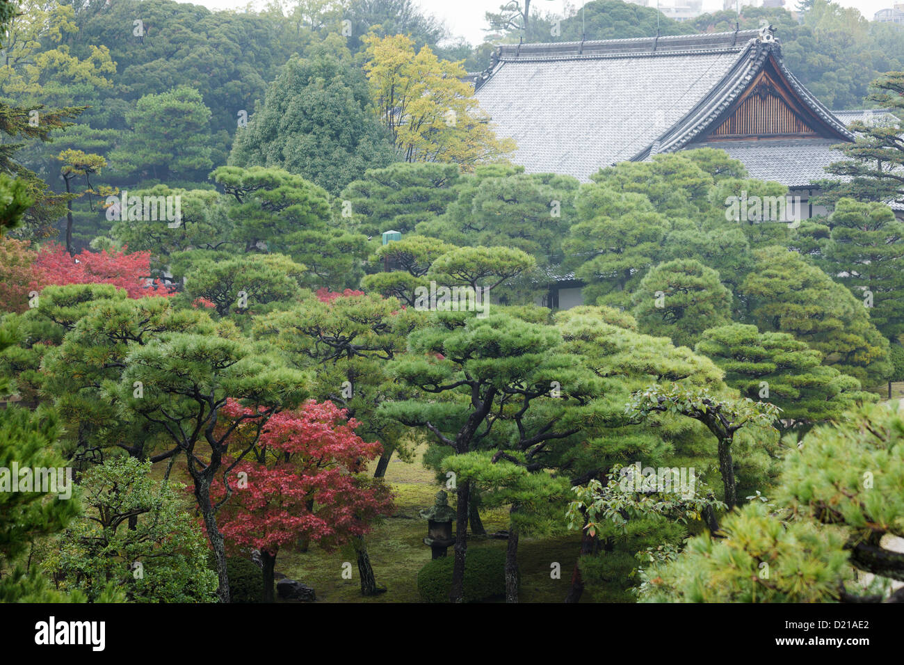 Kyoto old  imperial palace traditional garden in rainy day, Japan Stock Photo