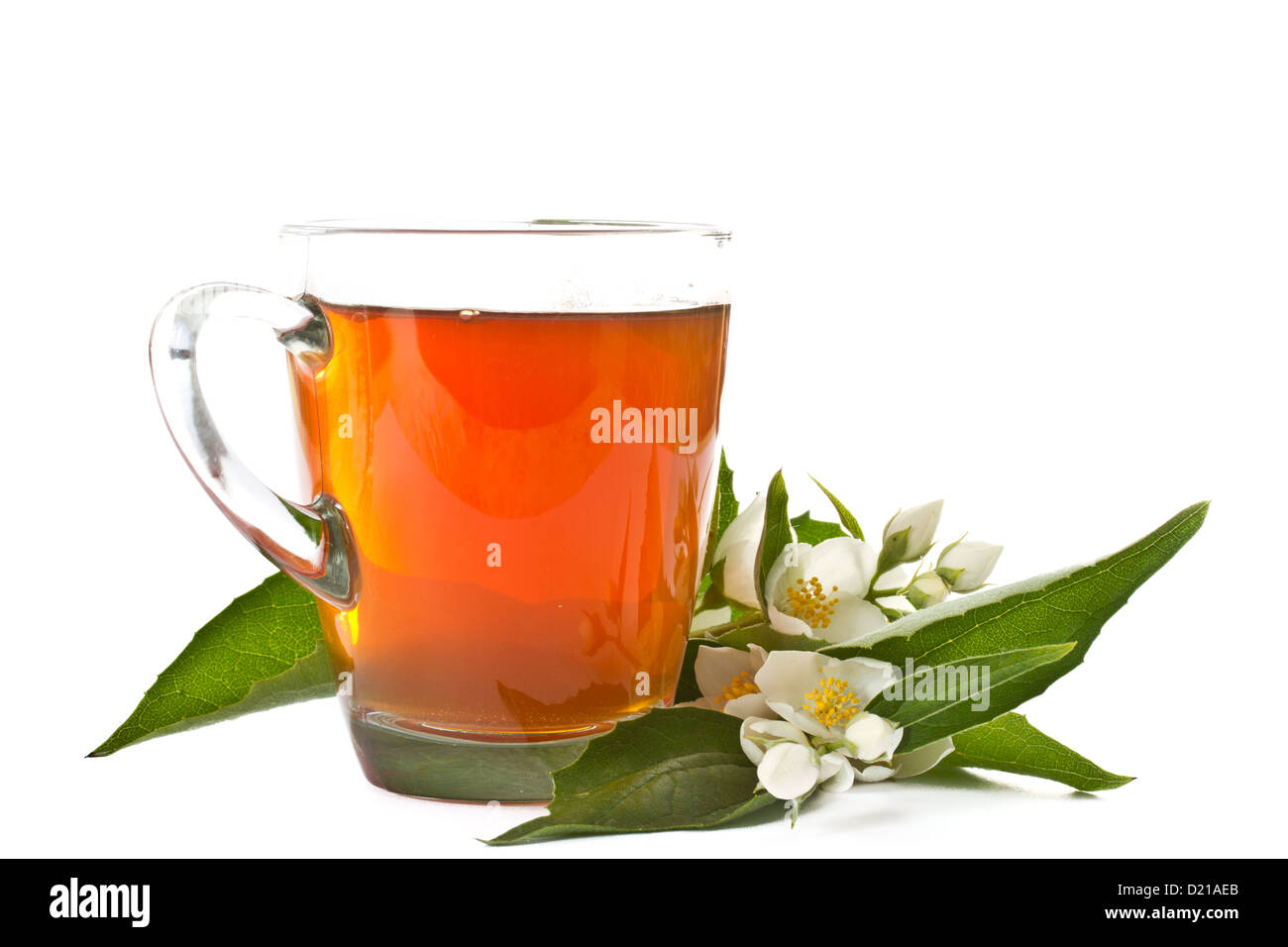 Tea with Jasmine Stock Photo Alamy