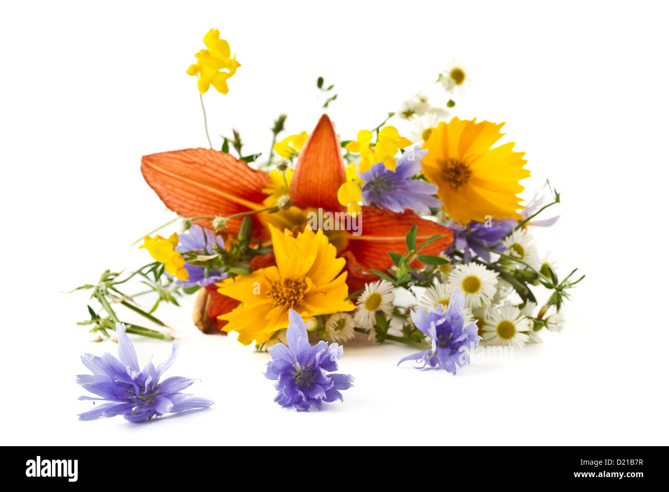 bouquet of summer wildflowers Stock Photo