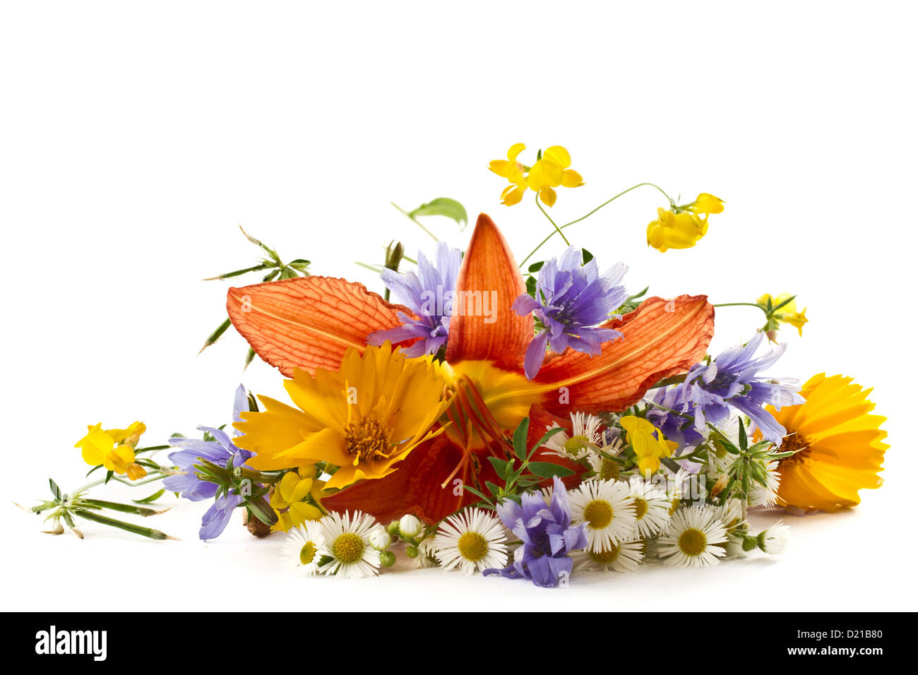 bouquet of summer wildflowers Stock Photo