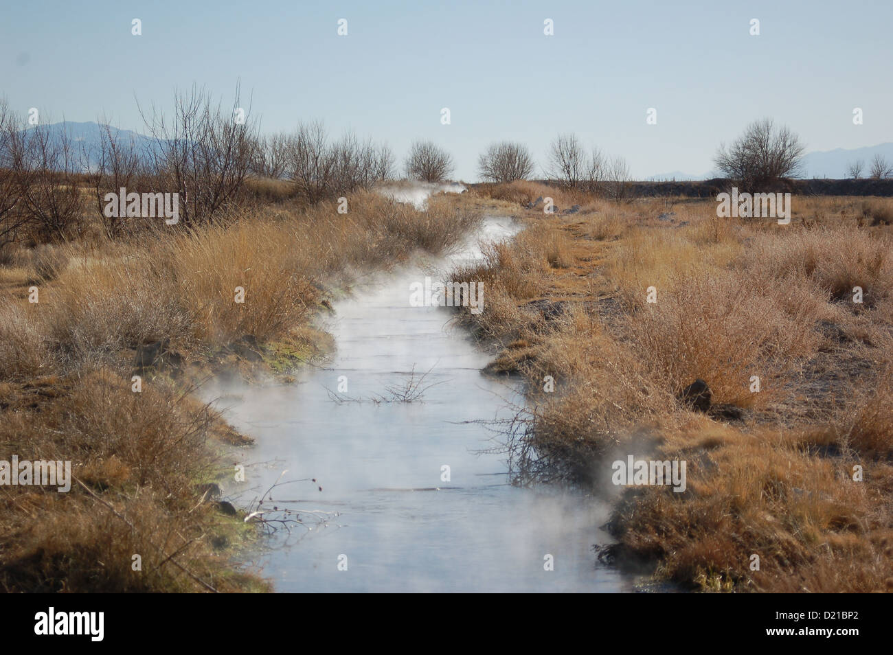 Landscape in nevada,usa,ely,alamo,mcgill,ruth Stock Photo