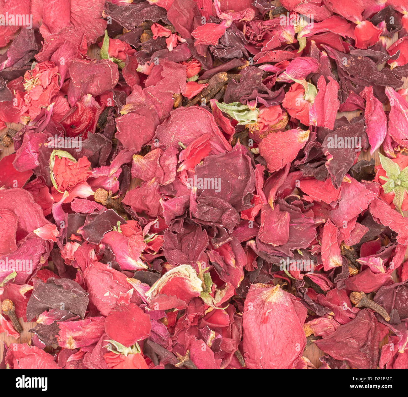Red rose flower pot hi-res stock photography and images - Alamy