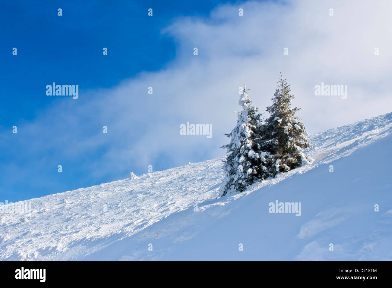 Winter landscape with frosty trees Stock Photo - Alamy
